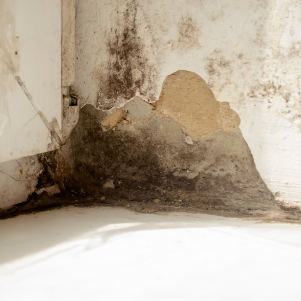 Waterproofing